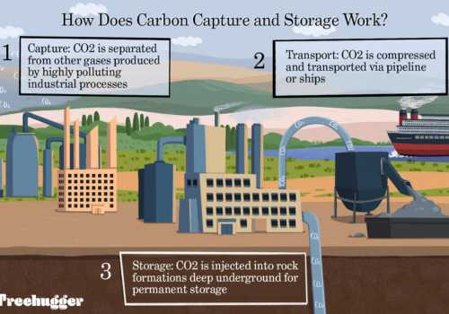 top-10-sustainable-innovation-changing-the-world