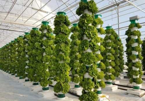 top-10-sustainable-innovation-changing-the-world